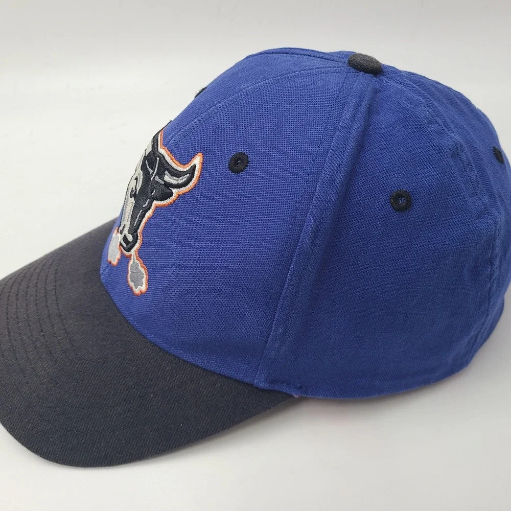 Vintage Durham Bulls Hat Fitted (Seems M-L) Twins Enterprise Blue Black MiLB Men